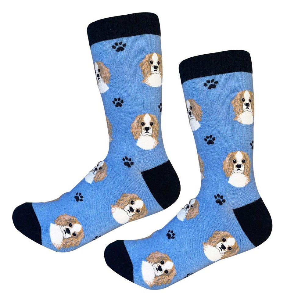 Cavalier King Charles  - Fun Unisex Socks - Crazy Pet Lover